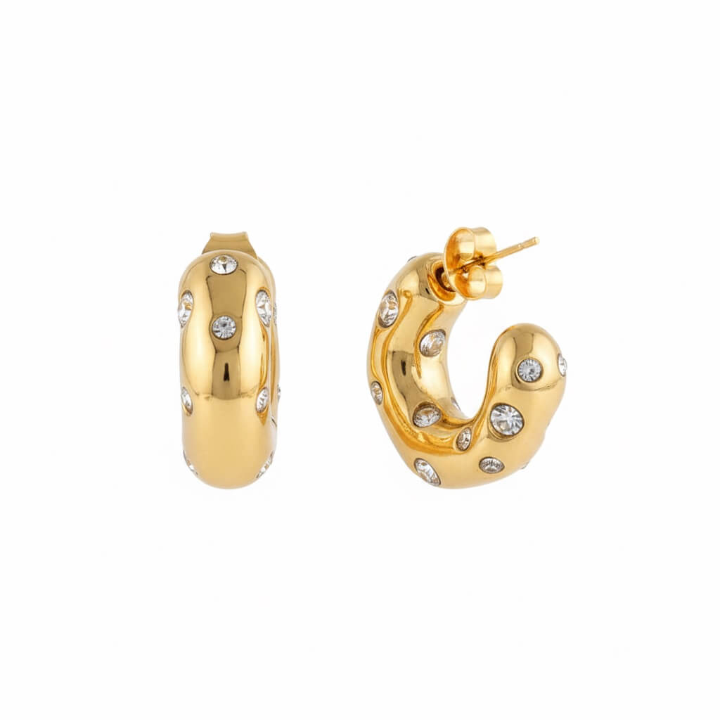 Chic | stainless earrings