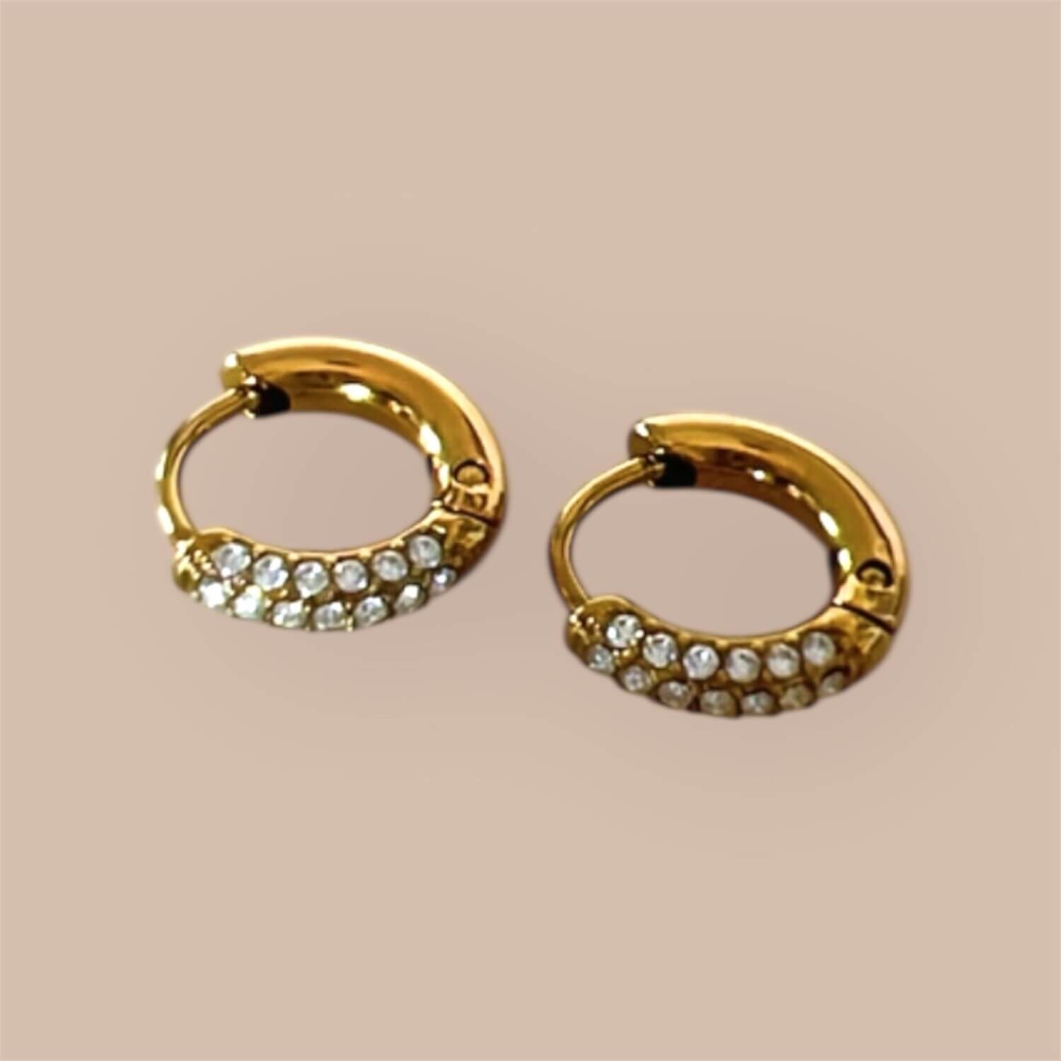 Elise | stainless earrings