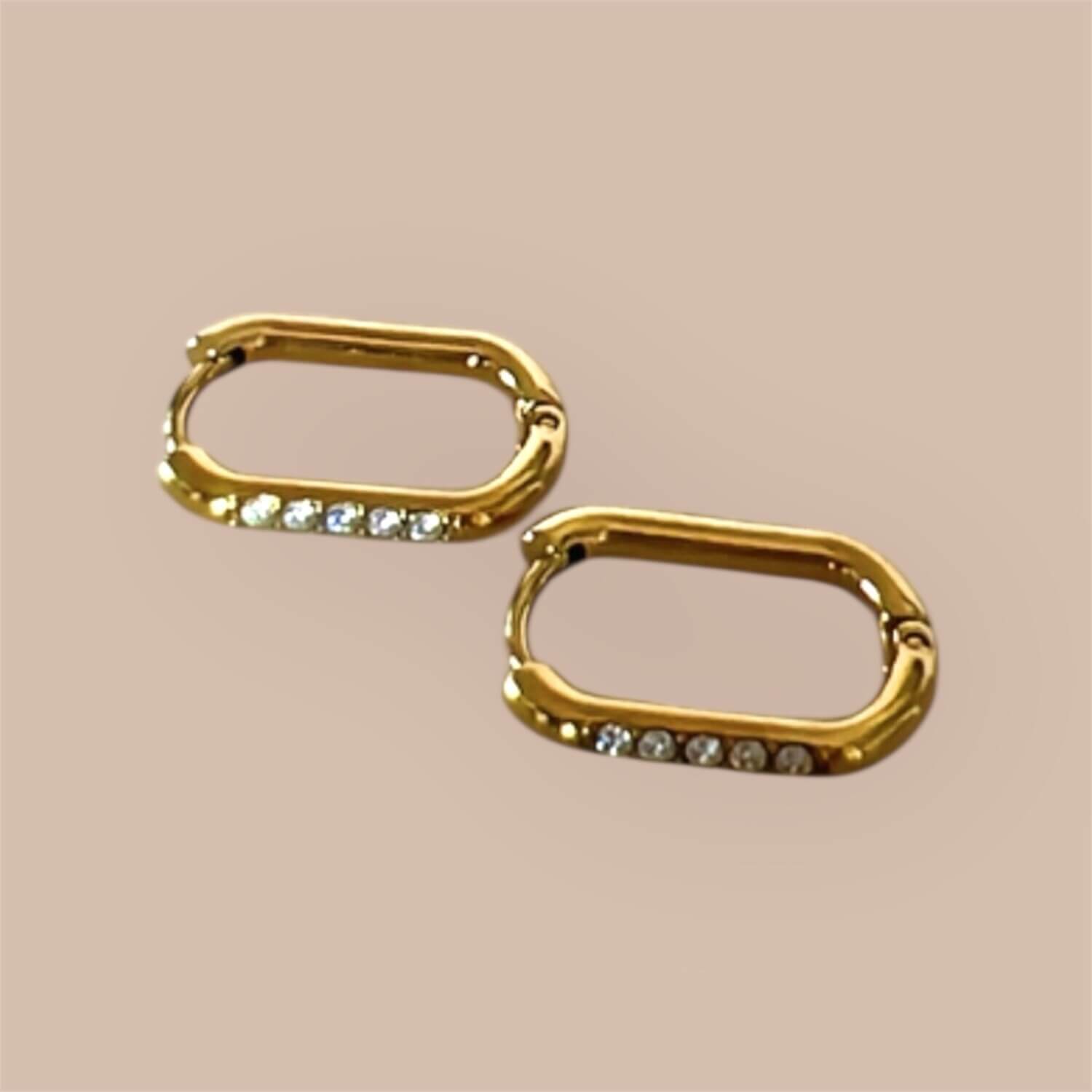 Charlotte | stainless earrings