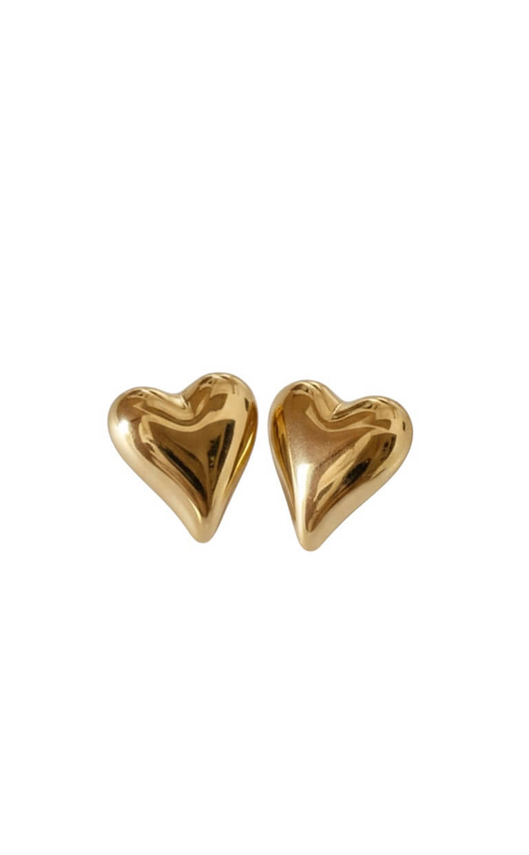 Kivel Gold | stainless earrings