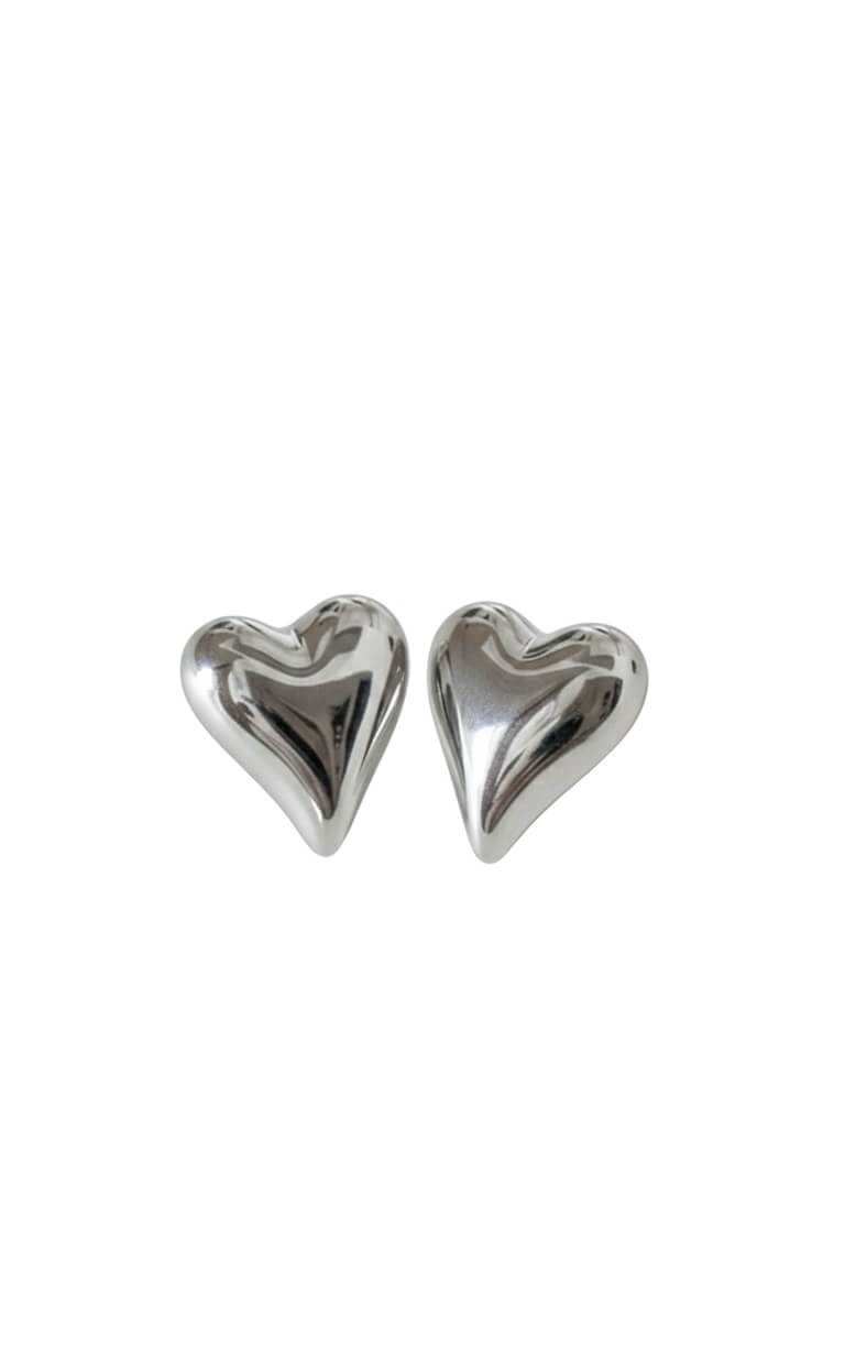 Kivel Silver | stainless earrings